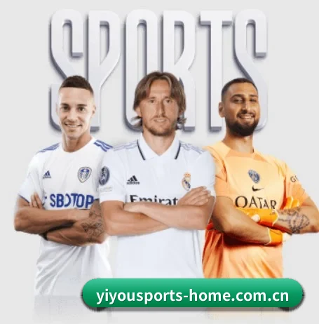 易游体育登录入口 APP